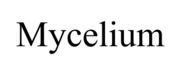 MYCELIUM trademark
