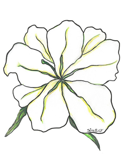 SIRA B.OT trademark
