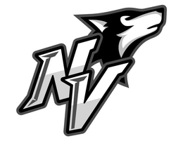 N V trademark