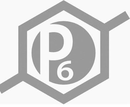 P6 trademark