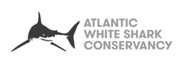 ATLANTIC WHITE SHARK CONSERVANCY trademark