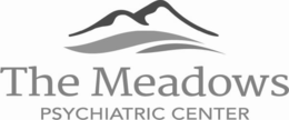 THE MEADOWS PSYCHIATRIC CENTER trademark