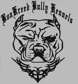 BOA KREED BULLY KENNELS trademark