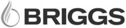 BRIGGS trademark