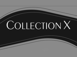COLLECTION X trademark