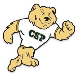 CSP trademark
