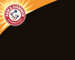 ARM & HAMMER THE STANDARD OF PURITY trademark