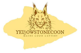 YELLOWSTONECOON MAINE COON CATTERY trademark