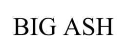 BIG ASH trademark