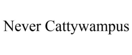NEVER CATTYWAMPUS trademark