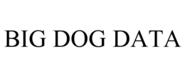 BIG DOG DATA trademark