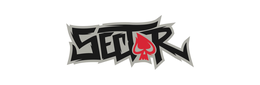 SECTOR trademark