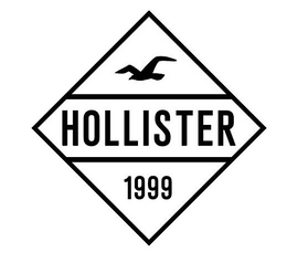 HOLLISTER 1999 trademark