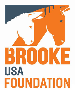 BROOKE USA FOUNDATION trademark