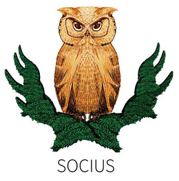 SOCIUS trademark