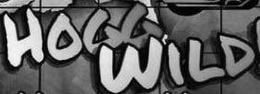 HOGG WILD trademark