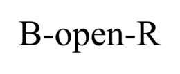 B-OPEN-R trademark