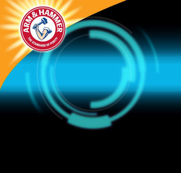 ARM & HAMMER THE STANDARD OF PURITY trademark