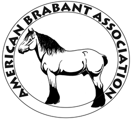 AMERICAN BRABANT ASSOCIATION trademark
