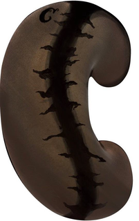 C trademark