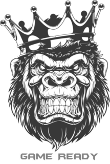 GAME READY trademark