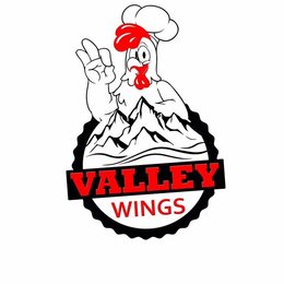 VALLEY WINGS trademark