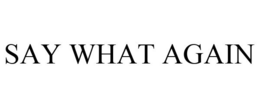 SAY WHAT AGAIN trademark