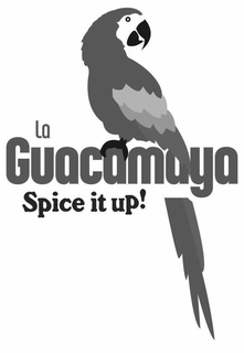 LA GUACAMAYA SPICE IT UP! trademark