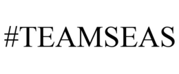 #TEAMSEAS trademark