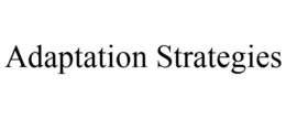 ADAPTATION STRATEGIES trademark