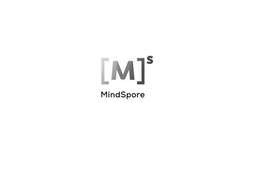 [ M ] S MINDSPORE trademark