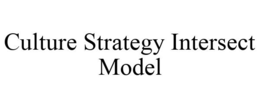 CULTURE STRATEGY INTERSECT MODEL trademark