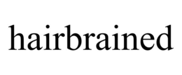 HAIRBRAINED trademark