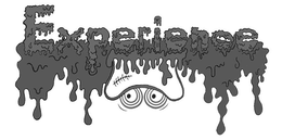EXPERIENCE trademark