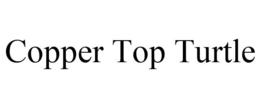 COPPER TOP TURTLE trademark