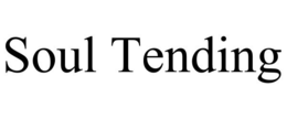 SOUL TENDING trademark