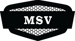 MSV trademark