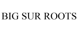BIG SUR ROOTS trademark