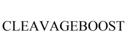 CLEAVAGEBOOST trademark