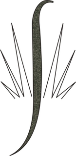 S trademark
