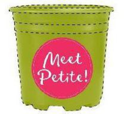 MEET PETITE! trademark