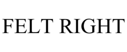 FELT RIGHT trademark