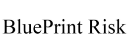 BLUEPRINT RISK trademark