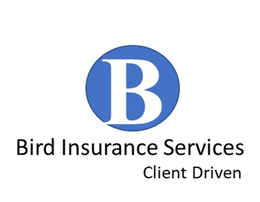 B BIRD INSURANCE SERVICES CLIENT DRIVEN trademark