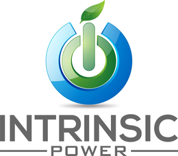 INTRINSIC POWER IO trademark
