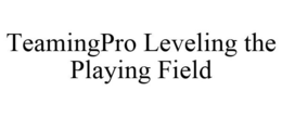 TEAMINGPRO LEVELING THE PLAYING FIELD trademark
