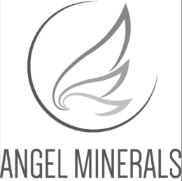 ANGEL MINERALS trademark