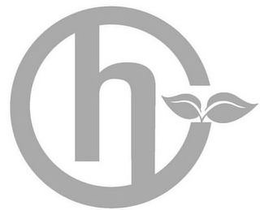 H trademark