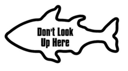 DON'T LOOK UP HERE trademark