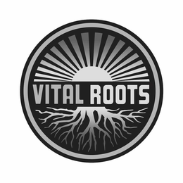 VITAL ROOTS trademark